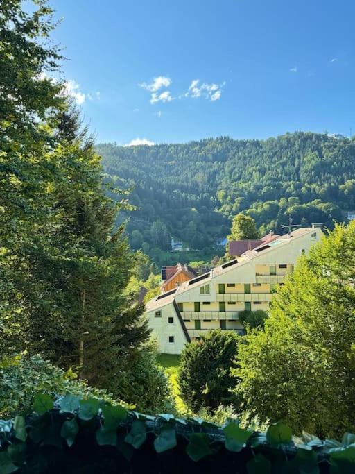 Black Forest Apartment