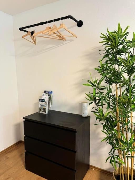 Black Forest Apartment *
